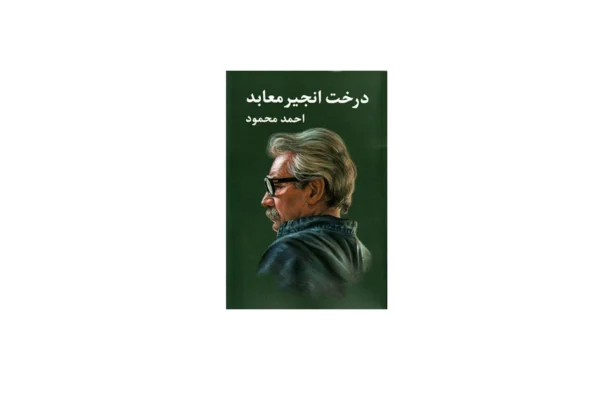 درخت انجیر معابد - 2جلدی - احمد محمود - معین